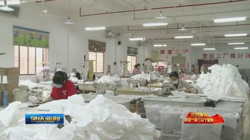 肇慶加快推進‘五位一體’總體布局，助力企業有效復工復產