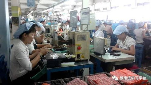 越南鞋業(yè)寒冬 老牌企業(yè)裁員近3000人，折射社會(huì)經(jīng)濟(jì)深層挑戰(zhàn)