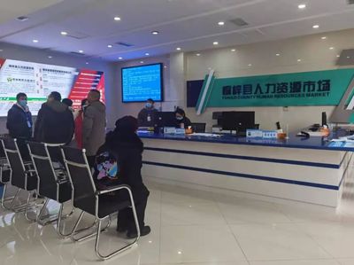 桐梓縣 以專業咨詢服務為引擎，筑牢“穩就業”“保就業”基石，驅動經濟社會高質量發展